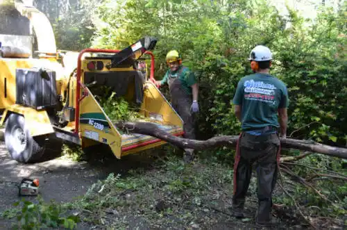 tree services Sedgwick